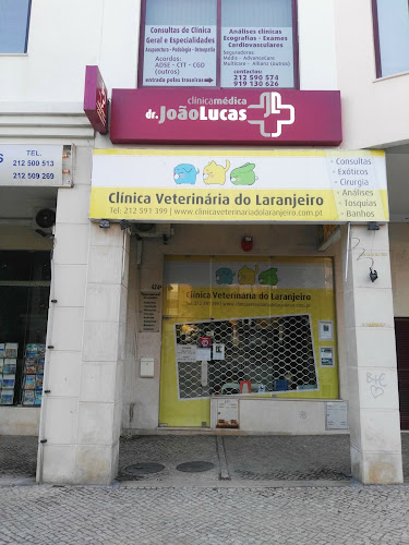 Clinica Veterinária do Laranjeiro - Almada