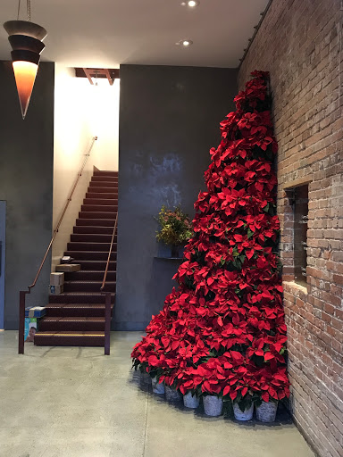 Florist «Not Just Flowers», reviews and photos, 4109 18th St, San Francisco, CA 94114, USA