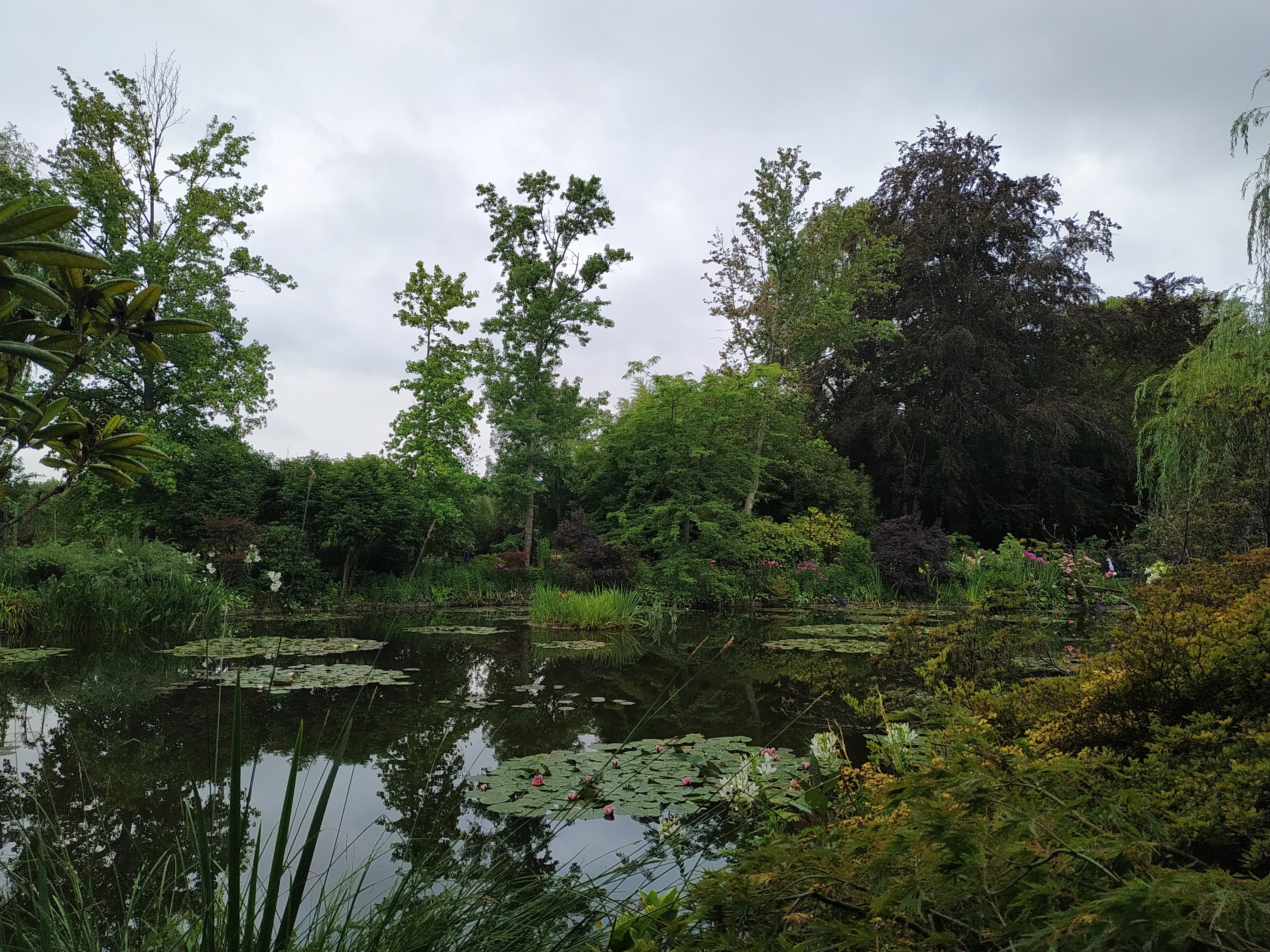 Photo n° 16 de l'avis de Pagliai.o fait le 18/07/2020 à 15:42