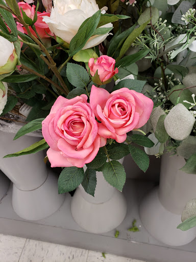 Craft Store «A.C. Moore Arts and Crafts», reviews and photos, 1 Worcester Rd, Framingham, MA 01701, USA