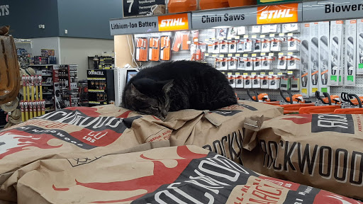 Hardware Store «Gilbert Ace Hardware», reviews and photos, 750 S Cooper Rd, Gilbert, AZ 85233, USA