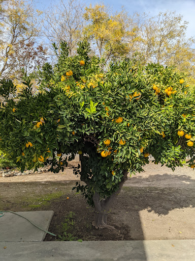 Tennis Club «Livermore Valley Tennis Club», reviews and photos, 2000 Arroyo Rd, Livermore, CA 94550, USA