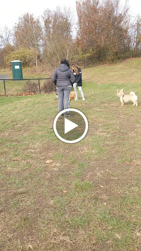 Dog Park «Dog Park», reviews and photos, 9068-9156 Wheatsheaf Rd, Morrisville, PA 19067, USA