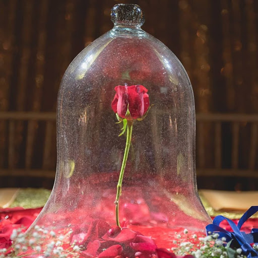 Florist «Blossoms Florist», reviews and photos, 8711 Reading Rd, Cincinnati, OH 45215, USA