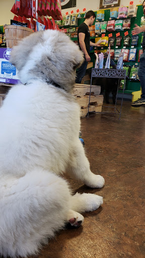 Pet Store «Pet Palace Nutrition & Boutique», reviews and photos, 3233 SE Maricamp Rd #101, Ocala, FL 34471, USA