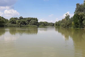 Szigetközi Landscape Protection Area image