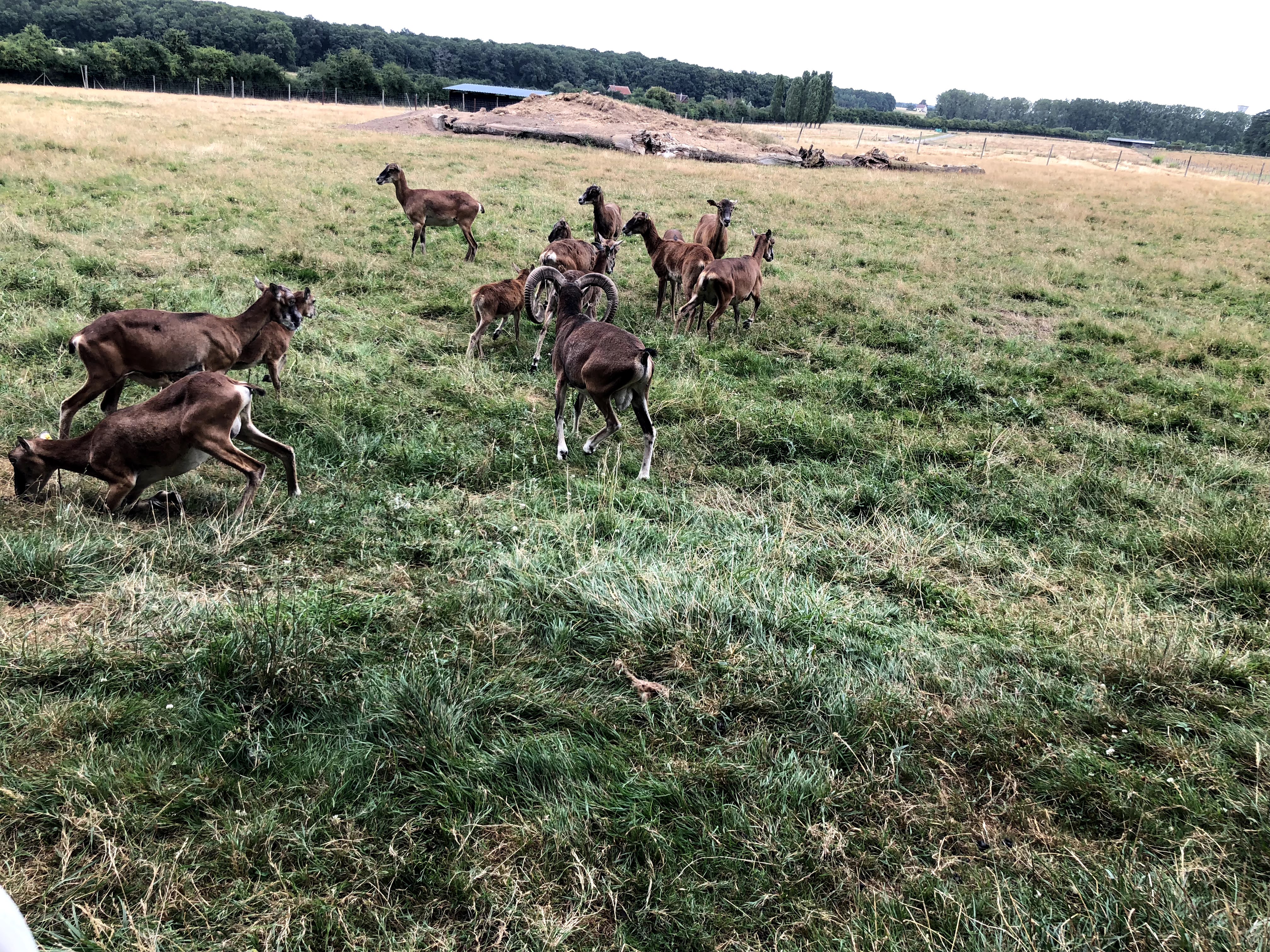 Photo n° 39 de l'avis de Julien.o fait le 27/07/2018 à 17:41