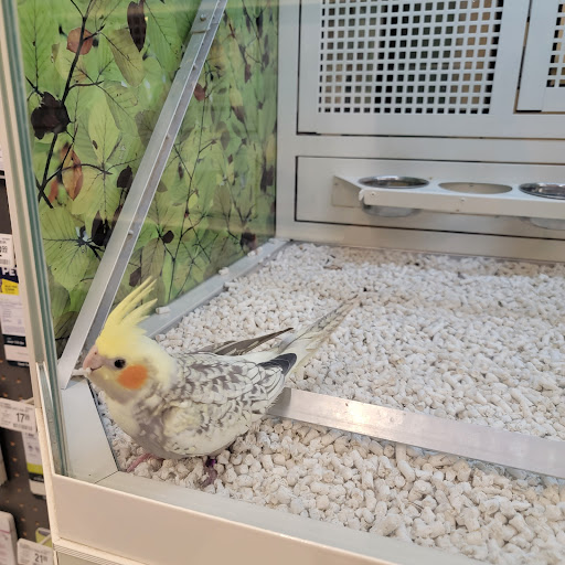 Pet Supply Store «PetSmart», reviews and photos, 5900 Carlisle Pike, Mechanicsburg, PA 17050, USA