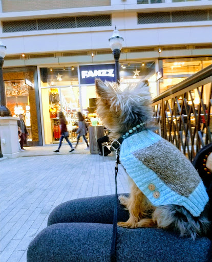 Fanzz, 51 Main St, Salt Lake City, UT 84111, USA, 