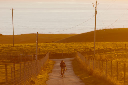 Bicycle Store «Spokesman Bicycles», reviews and photos, 231 Cathcart St, Santa Cruz, CA 95060, USA