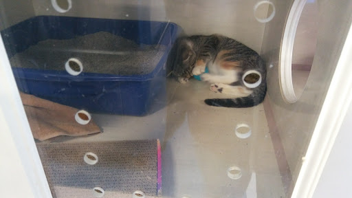 Pet Supply Store «Petco Animal Supplies», reviews and photos, 7625 Jolly Ln, Brooklyn Park, MN 55428, USA