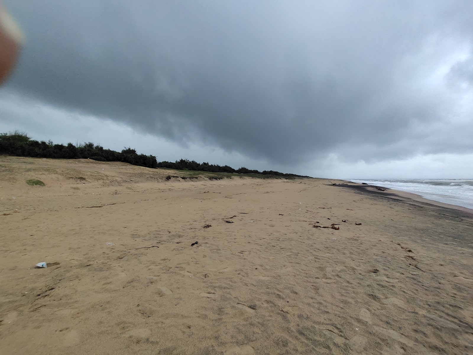 Dankalpadu Beach的照片 带有长直海岸