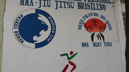 Academia Tiger Fighting JiuJitsu