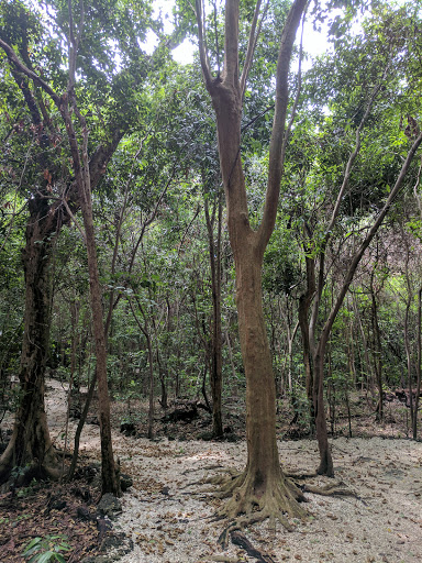 Park «Simpson Park», reviews and photos, 5 SW 17th Rd, Miami, FL 33129, USA