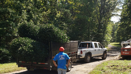 Maximo's Landscaping & Tree Services