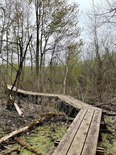 Nature Preserve «Mud Lake Bog Nature Preserve», reviews and photos, 905 E Elm Valley Rd, Buchanan, MI 49107, USA