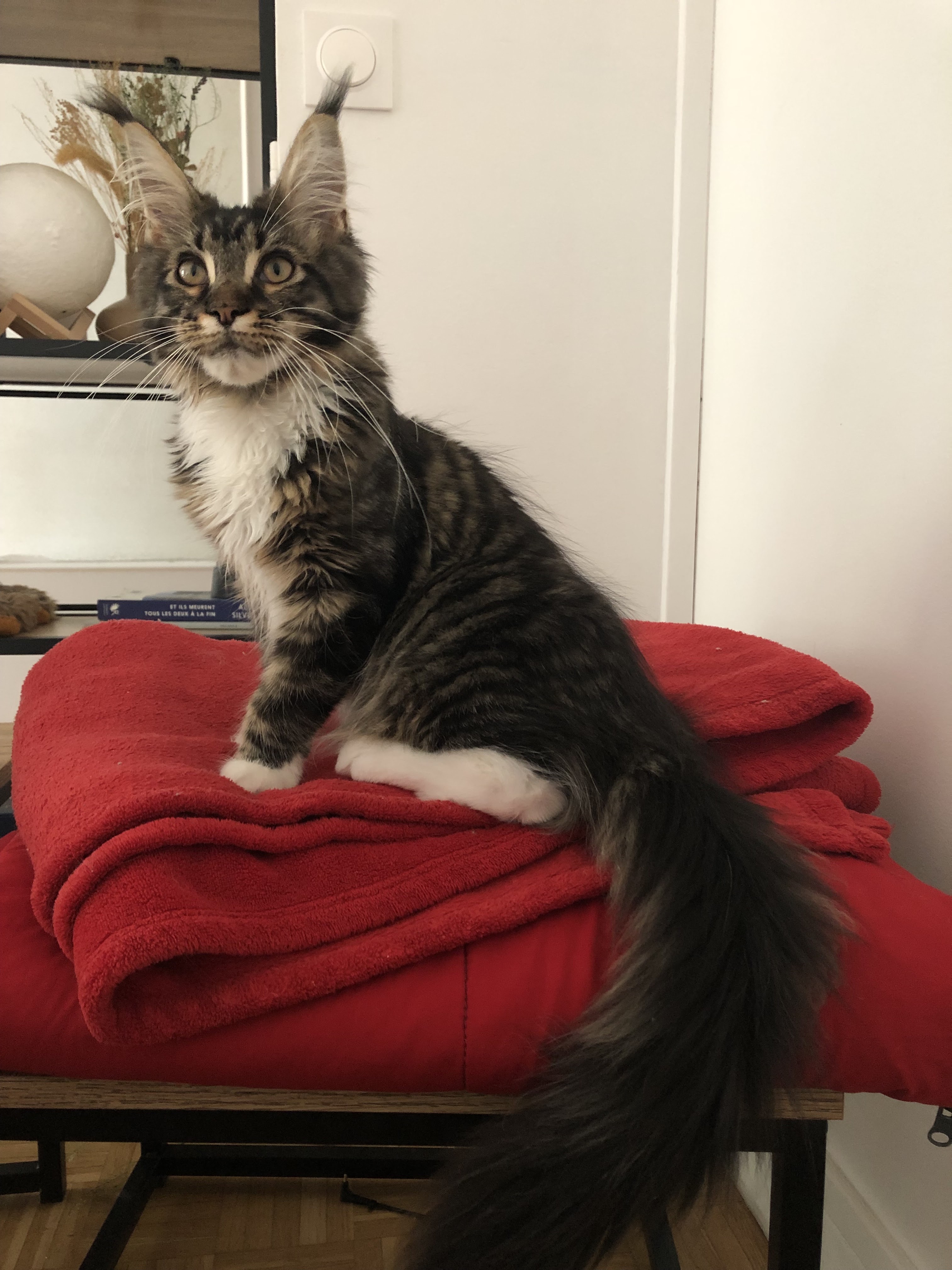Photo n° 2 de l'avis de Toni.a fait le 04/08/2023 à 13:46