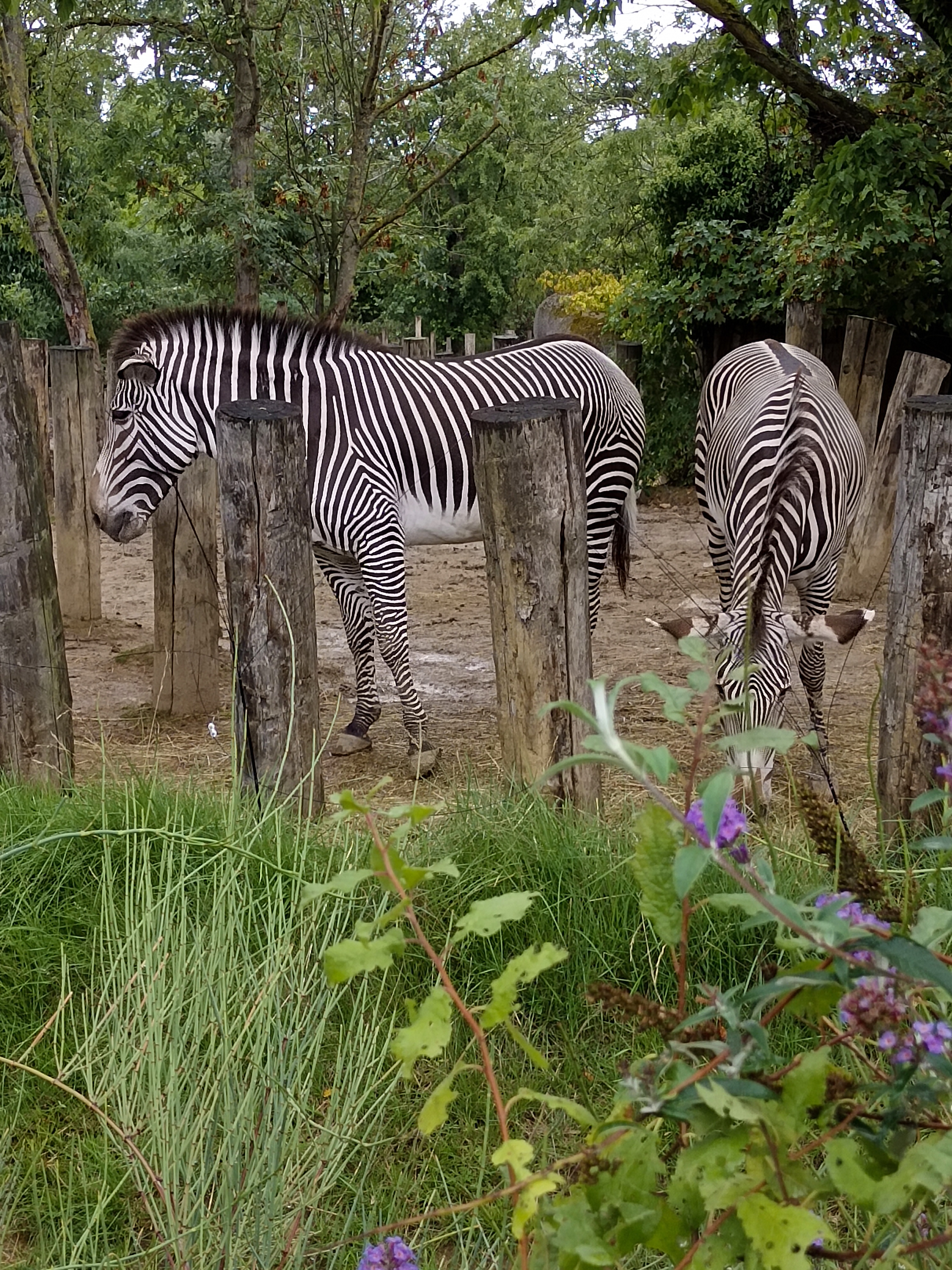 Photo n° 14 de l'avis de Suzy.a fait le 28/08/2023 à 21:34