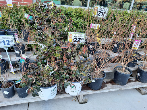 Grocery Store «Market Basket», reviews and photos, 301 Constitution Ave, Littleton, MA 01460, USA