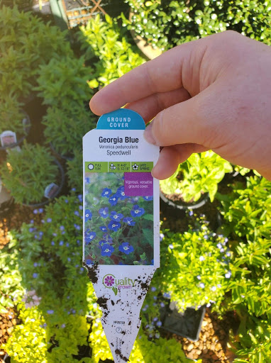 Garden Center «Ivy Corner Garden Center Gift Shop», reviews and photos, 4305 Ivy Rd, Charlottesville, VA 22903, USA