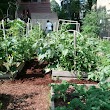 Lafayette High Community Garden - PS 353