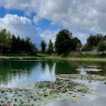 Photo n°5 de l'avis de Ecaterina.a fait le 13/09/2022 à 15:26 sur le  Bar Nives à Nemoli