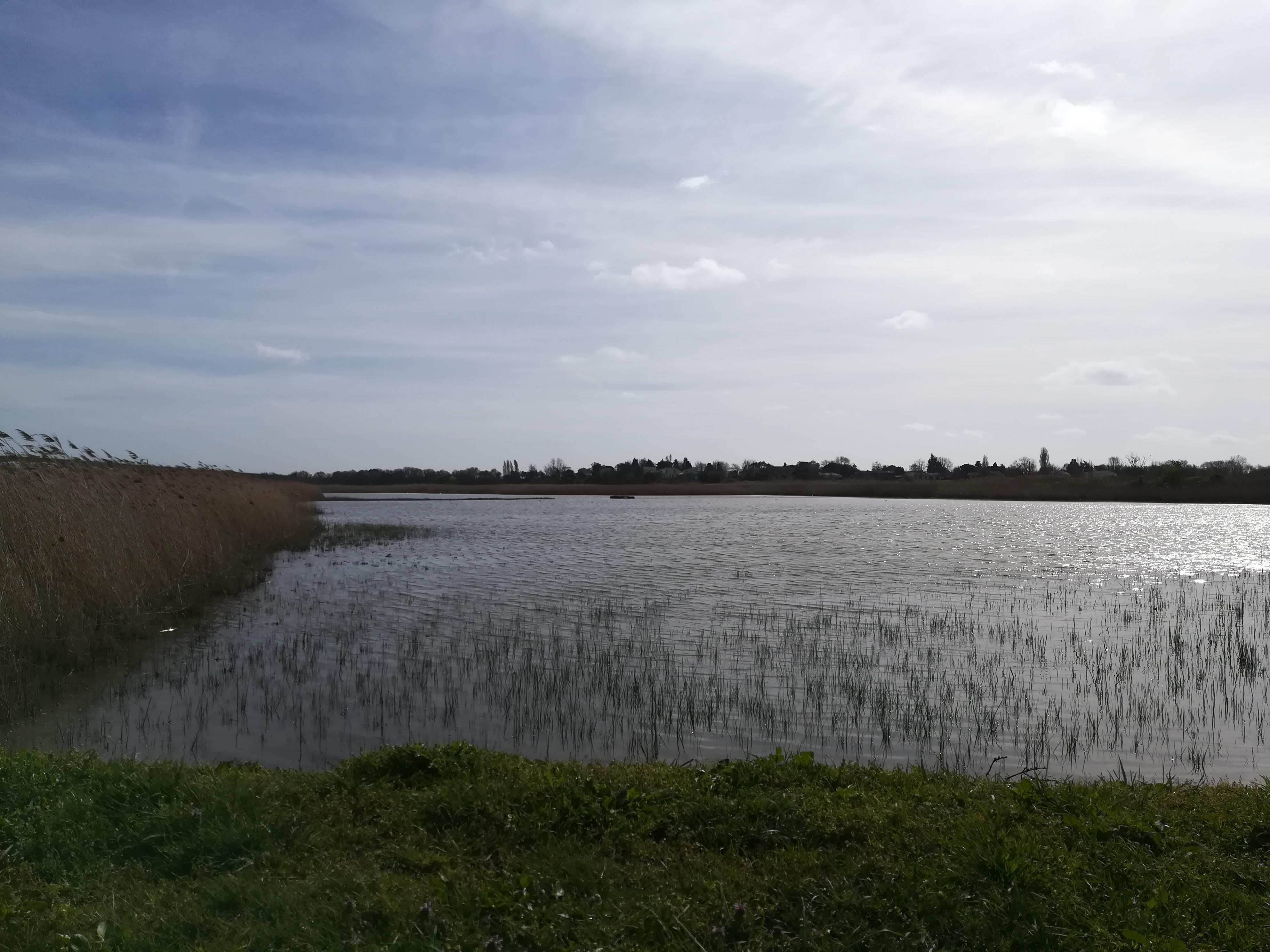 Photo n° 42 de l'avis de Nathalie.e fait le 12/03/2019 à 11:58