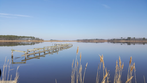 Boat Rental Service «Blackwater Paddle and Pedal Adventures», reviews and photos, 2524 Key Wallace Dr, Cambridge, MD 21613, USA