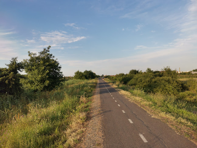 Pista de biciclete Timisoara Serbia - <nil>