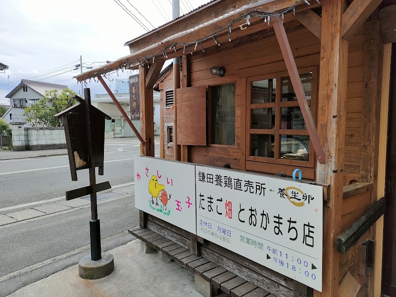 鎌田養鶏直売所 たまご畑 とおかまち店