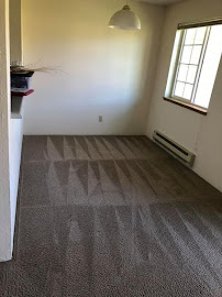 I love carpet cleaning - Photo 5 - Car repair in , Tacoma