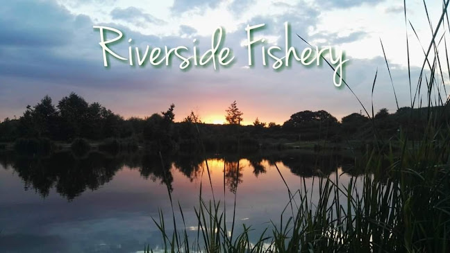 Riverside Fishery Bawtry Yorkshire