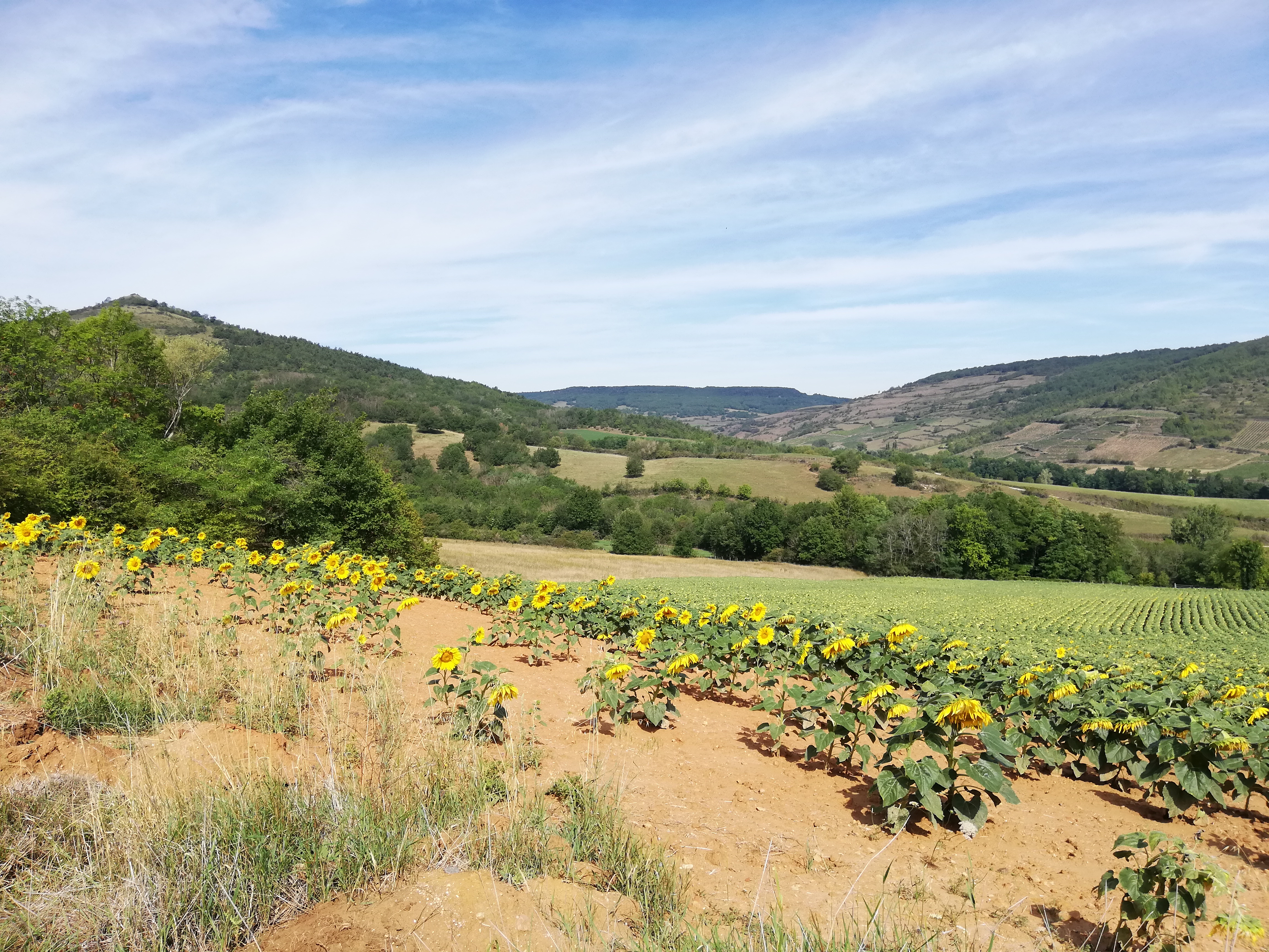 Photo n° 4 de l'avis de Christelle.u fait le 28/08/2019 à 11:50