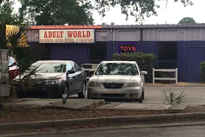 Adult World image