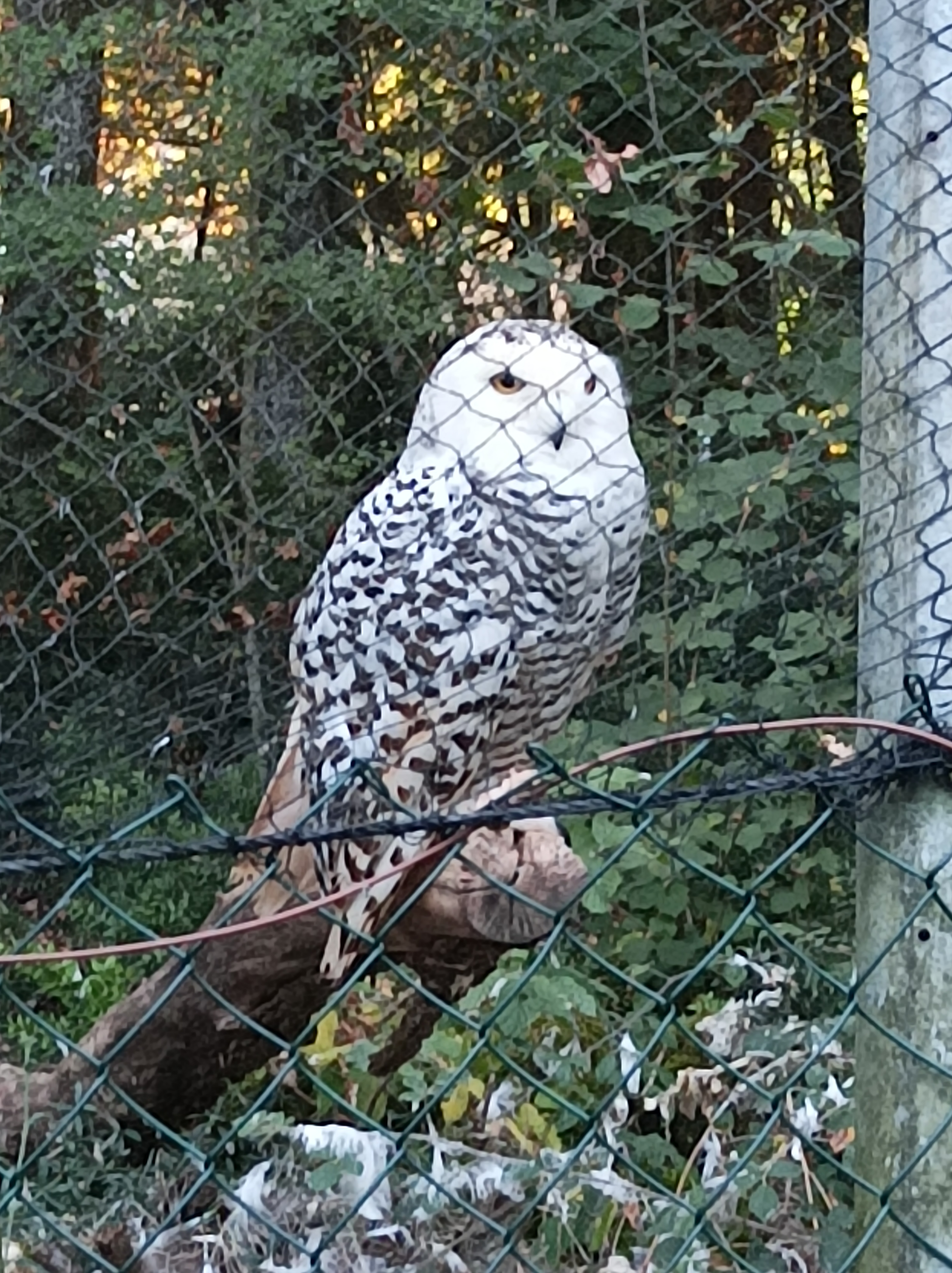 Photo n° 3 de l'avis de Helene.a fait le 28/07/2023 à 16:10