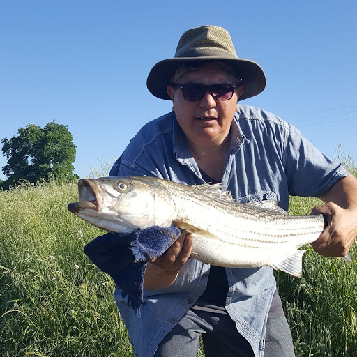 Bait Shop «Elkhorn Outdoor Sports», reviews and photos, 6745 20th St, Rio Linda, CA 95673, USA