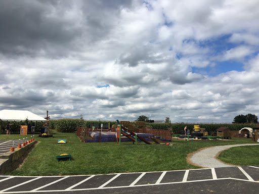 Tourist Attraction «Oregon Dairy Corn Maze», reviews and photos, 1289 Creek Rd, Lititz, PA 17543, USA