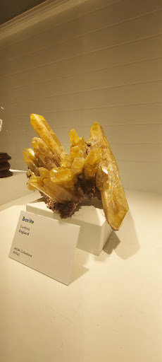 Museum «Peabody Museum of Archaeology and Ethnology», reviews and photos, 11 Divinity Ave, Cambridge, MA 02138, USA