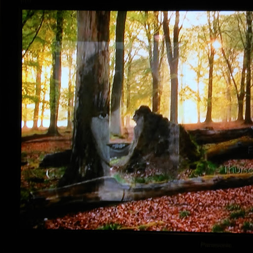 Funeral Home «Woodstock Funeral Home», reviews and photos, 8855 Main St, Woodstock, GA 30188, USA