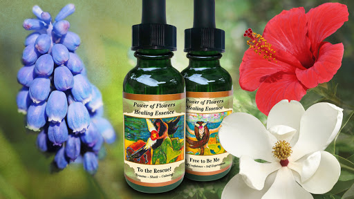 Power of Flowers Healing Essence Company by Isha Lerner Enterprises