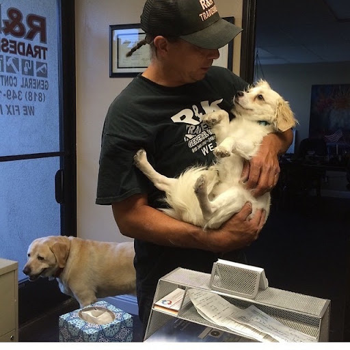 Pet Supply Store «Petco Animal Supplies», reviews and photos, 19869 Rinaldi St, Porter Ranch, CA 91326, USA