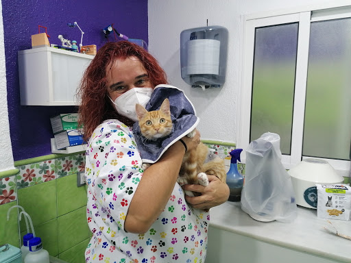 Alfafar Veterinaria en Alfafar