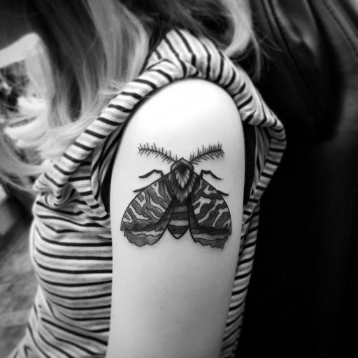 Explore cobra tattoo ideas, creative tattoo ideas in Kansas City, available at Revelation Tattoo