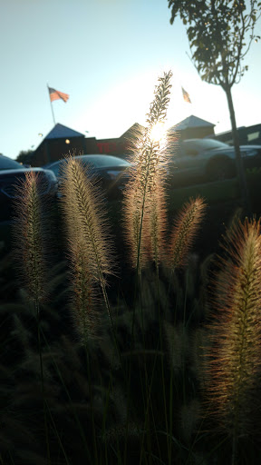 Indian Grocery Store «Krishna Groceries», reviews and photos, 2300 South Rd, Poughkeepsie, NY 12601, USA