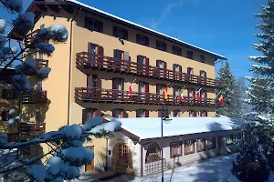 Hotel Des Alpes image