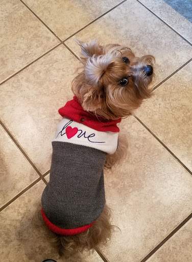 Pet Store «PetSmart», reviews and photos, 6545 North Grand Parkway West Suite 104, Spring, TX 77389, USA