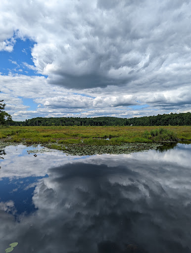 State Park «Lowell-Dracut-Tyngsborough State Forest», reviews and photos, Trotting Park Rd, Dracut, MA 01826, USA