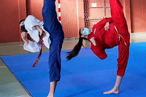 Escuela de Taekwondo Kyongju image