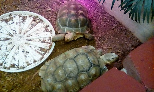 Pet Supply Store «Pure Paradise Pets», reviews and photos, 39 Putnam Pike, Johnston, RI 02919, USA