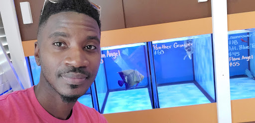 Tropical Fish Store «Nemo Aquarium», reviews and photos, 1560 Indian Trail Rd #106, Norcross, GA 30093, USA